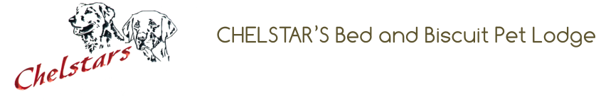 CHELSTAR’S Bed and Biscuit Pet Lodge